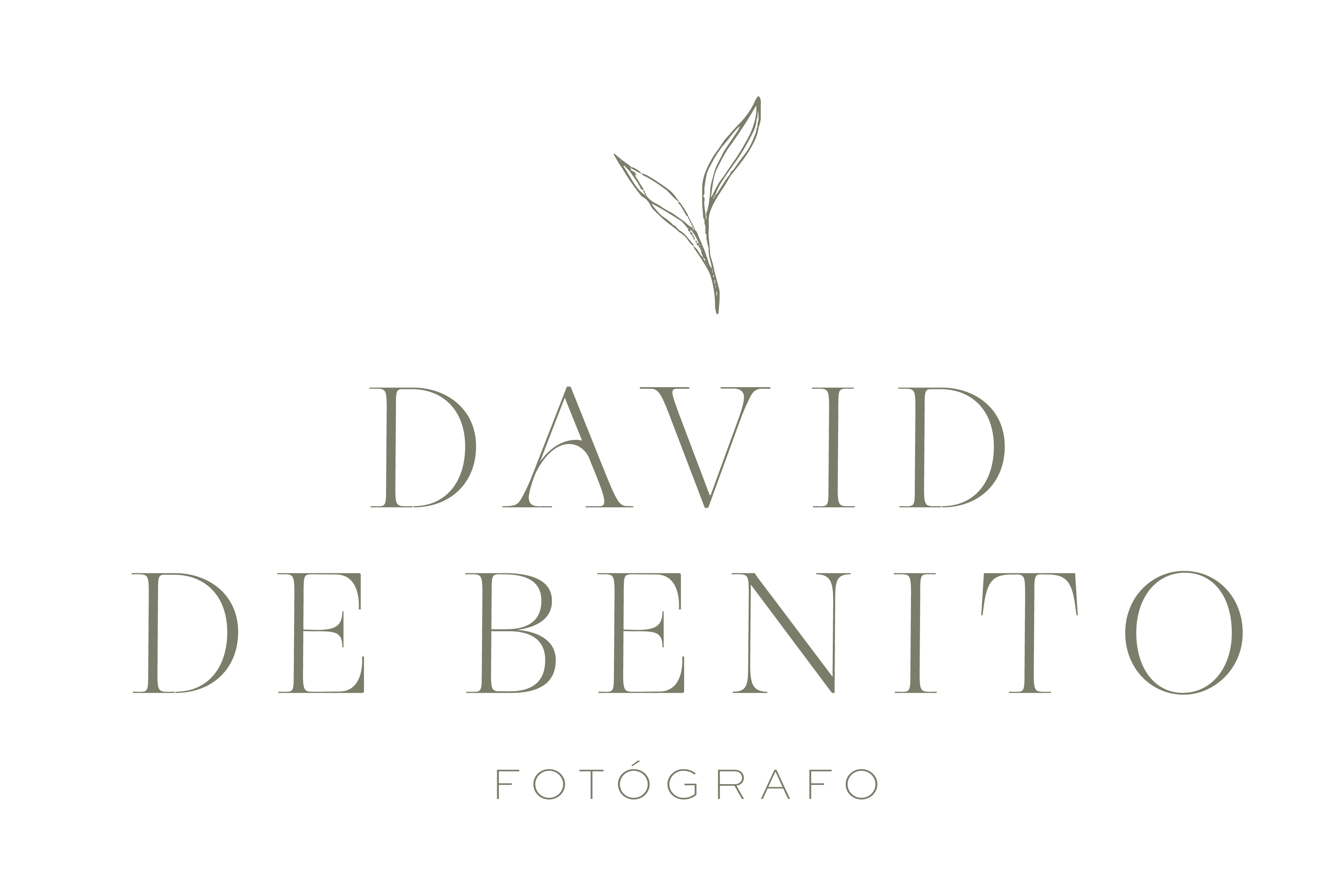 David de Benito | Fotógrafo de boda A Coruña